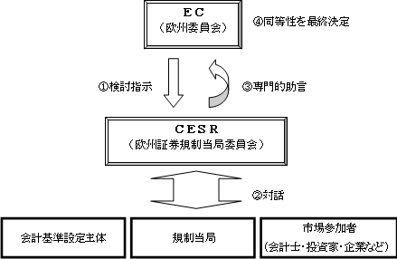 【同等性評価プロセスの流れ(概要)】